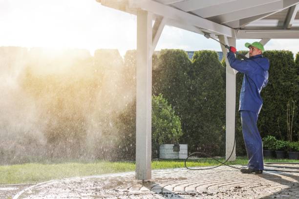 Best Warehouse Cleaning  in Walker, LA